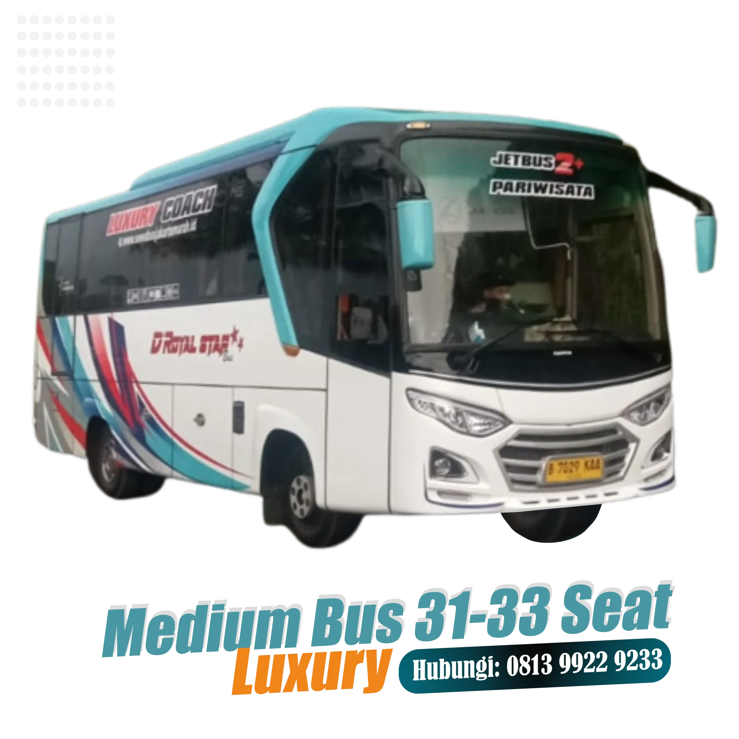 bus medium luxury 31-33 seat